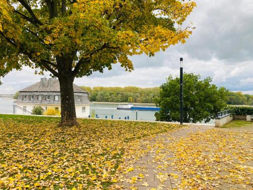 Alrededores, Nido Vela Appartement in Wesseling