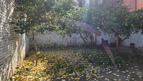 Garden Lemon Tree Villa, Tirana (fotografie 6)