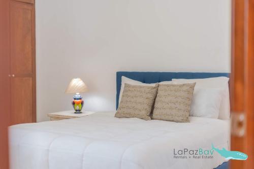 Brand New Townhome with Private Rooftop Plunge Pool in La Paz, Mexico