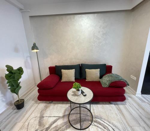 Charming Flat, Arad