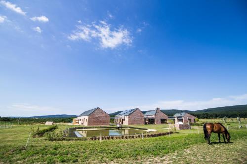 Öregtölgy Vendégház - Hotel - Szár