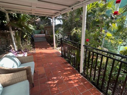 The Green Iguana Hotel in Шарлотта-Амалія