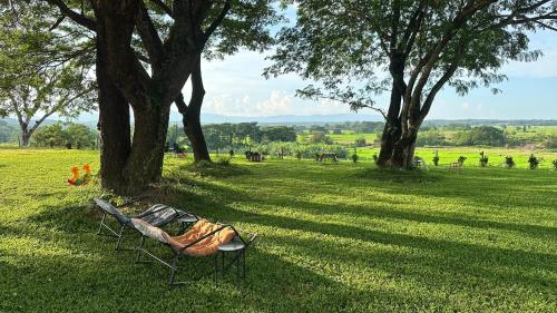 레스토랑, Healstay Hostel in 위앙 사