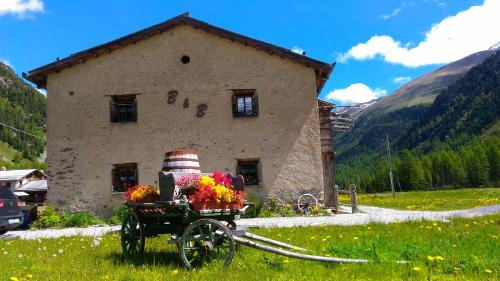 Bed & Breakfast Campaciol, Livigno (fotografie 5)