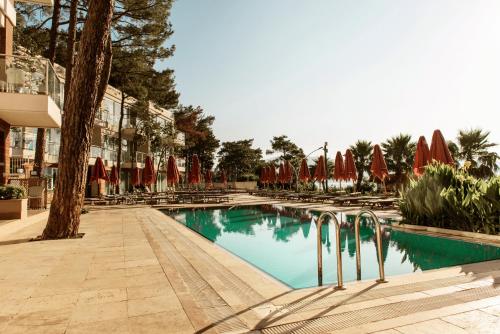 Orka Lotus Beach - image 10