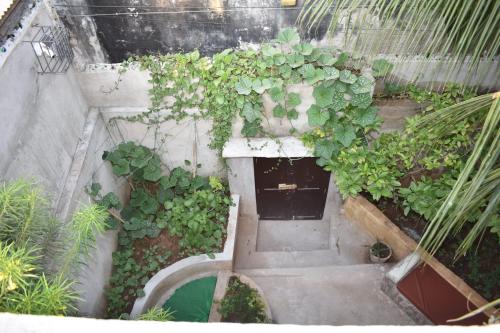 Sodas, Amani Guest House Lamu in Lamu