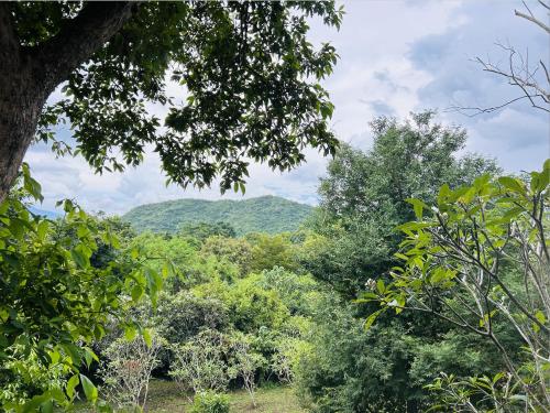 ศศิคันทรี รีสอร์ท, Suan Phung (foto 7)