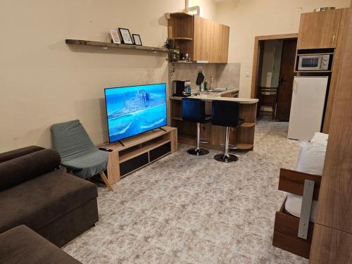 Bright and Cozy Studio with Garage near the Center, Sofia (Foto 9)