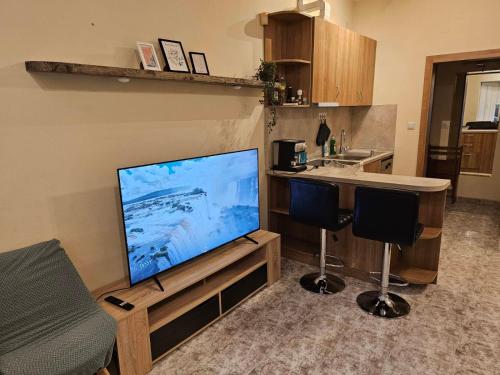 Bright and Cozy Studio with Garage near the Center, Sofia (Foto 10)