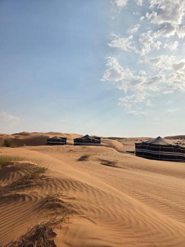 layali camp, Bidiyah (fotografie 6)