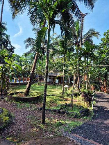 Roshan Restaurant and Guesthouse by Sty4you - Wadgaon