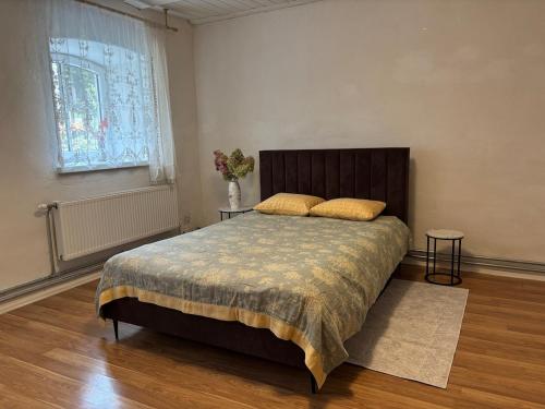 The 1st Apartment in Cesis