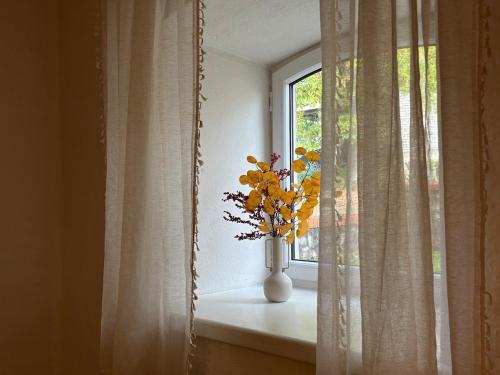 The 1st Apartment in Cesis
