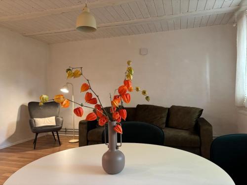 The 1st Apartment in Cesis