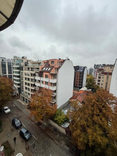 Central Mansard Studio, Sofia (Foto 2)
