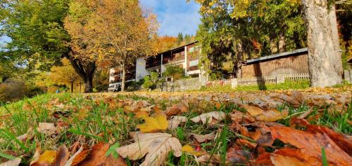 Photo - Hotel Ruchti - Zeit für mich