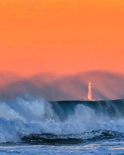 Chive Cottage, Cape St Francis (fotografie 7)