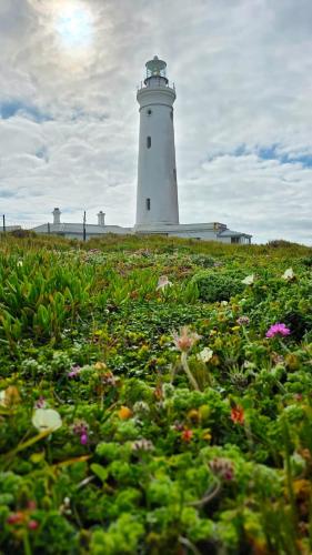 Chive Cottage, Cape St Francis (fotografie 8)