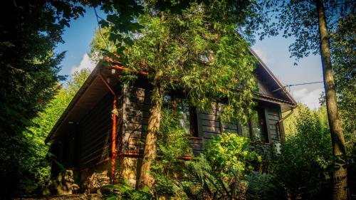 Chatka Margolinka in Kombornia
