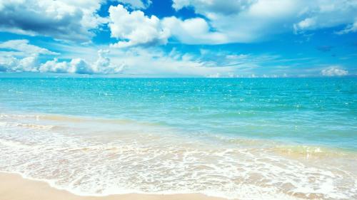 4 Bedroom Apartment near the Beach