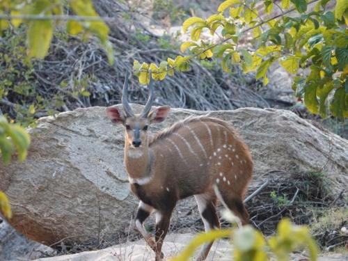 Bua River Lodge in Nkhotakota