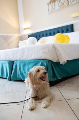 Hotel Suite Caesar, Rome (photo 2)