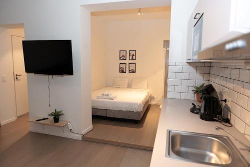 Studio 003 Avenue Louise, Bruxelles (foto 5)