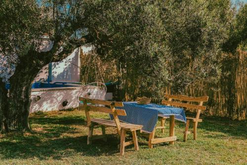 Dar Ajmia Villa in Chatt Mariem