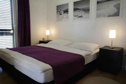 1 queen bed, 1 twin bed, 2 sofa beds