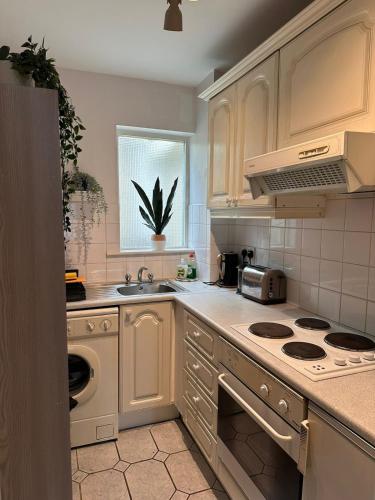 Compact 1 bedroom apt plus sofa bed next to Guinness, Dublin (fotografie 3)