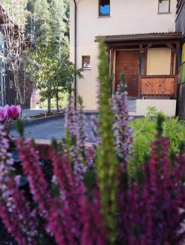 Ferien am Brunnen in Rhazuns