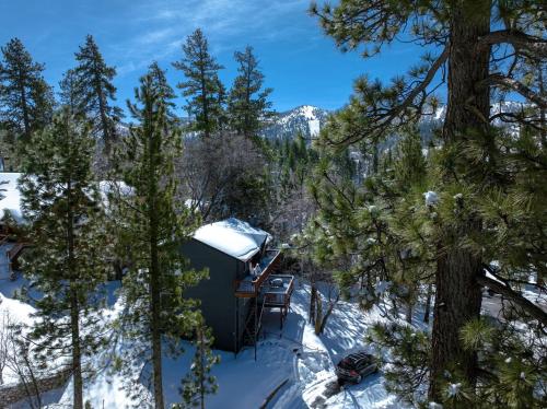 Chipmunk treehouse #1983 in Big Bear Lake, USA