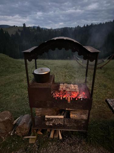 Мелодія Гір .Апартаменти з видом на гори ., Vorochta (fotografie 9)