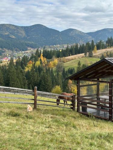 Мелодія Гір .Апартаменти з видом на гори ., Vorochta (fotografie 5)