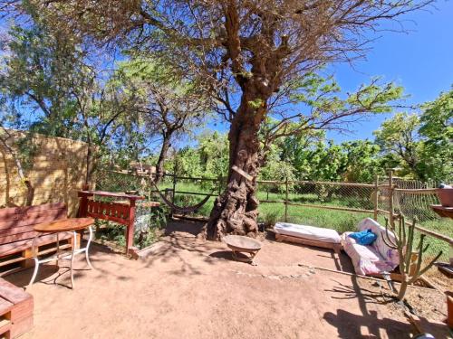 Nativo Atacama