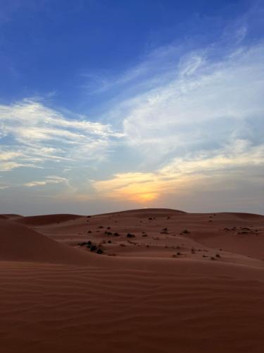 Bedouin Stars in A'Sharqiyah Sands (Wahiba)