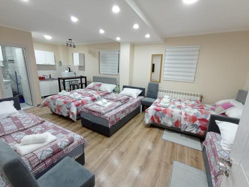 베오그라드 Apartments & Rooms -MDL Lazić (Apartments & Rooms -MDL Lazic) 4성급 게스트하우스 스위트룸