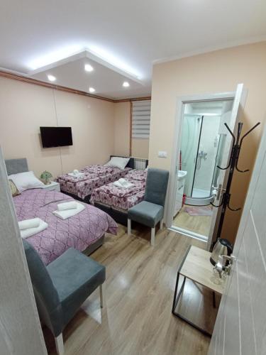 베오그라드 Apartments & Rooms -MDL Lazić (Apartments & Rooms -MDL Lazic) 4성급 게스트하우스 스위트룸