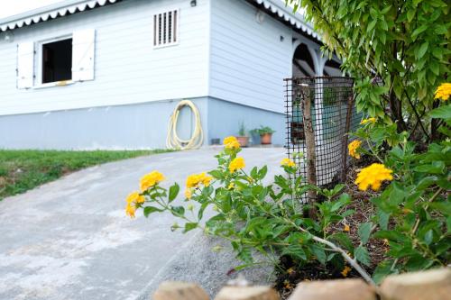 Villa 2 Chambres in Le Saint-Esprit