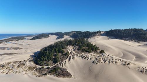 Winchester Bay Inn - image 6