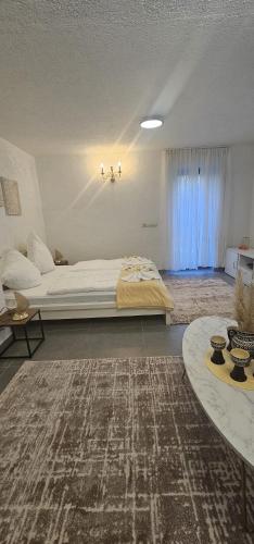 Selma Apartments, Dresde (photo 10)