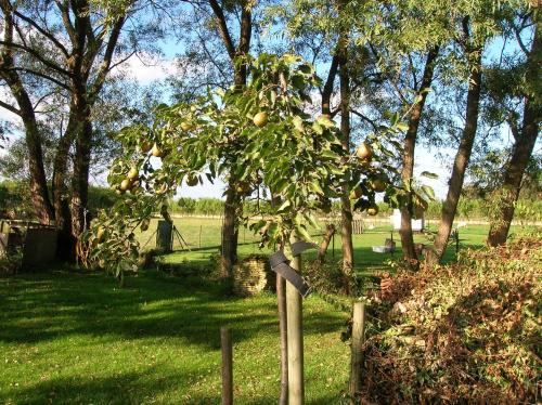 Appels en Peren Bed and Breakfast – Breezand, PA