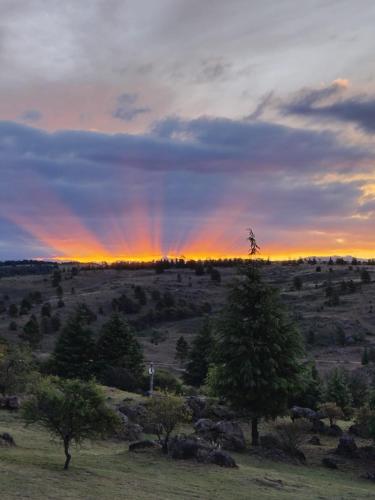 Aires Colina in Villa Berna