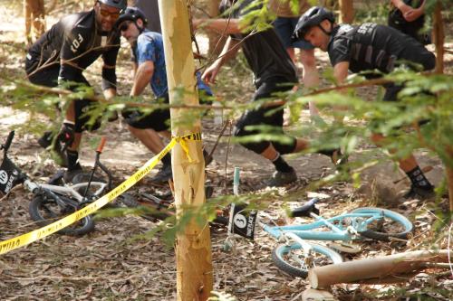 Tiny House at That Place in Papaiti