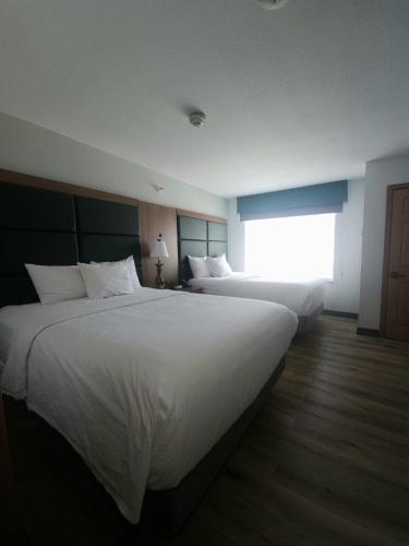 Wingate by Wyndham Youngstown - Austintown