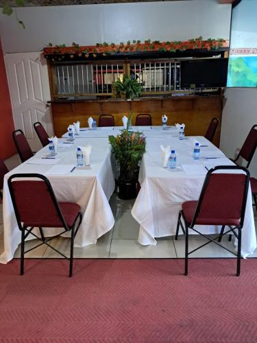 Nadi Downtown Hotel - image 2