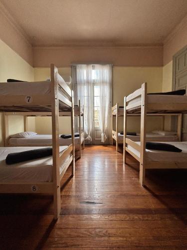 Colmena Hostel Rosario - image 3