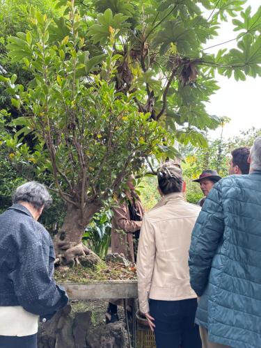 Tajara Parque Ecológico