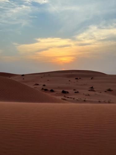 View, Bedouin Stars in A'Sharqiyah Sands (Wahiba)