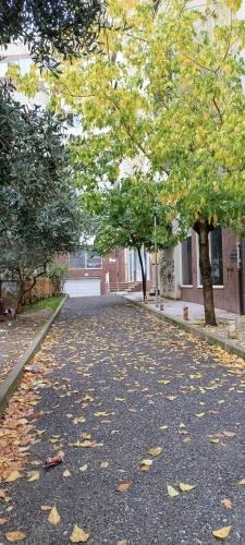 Cozy Apartment, Free Parking near Dajti Cable Car, Bunk'Art, Tirana (photo 3)